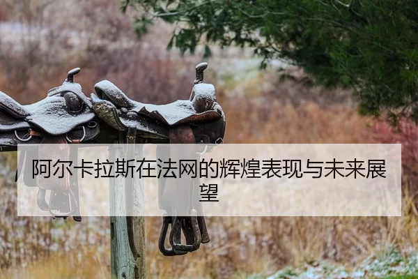 阿尔卡拉斯在法网的辉煌表现与未来展望